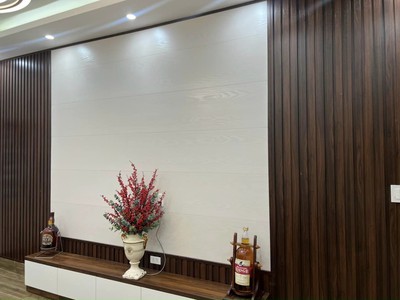 Bán nhà MP Lương Thế Vinh, Đông Nam CƯờng, TP HD, 60m2, 3.5 tầng, 4 ngủ, gara ô tô 4