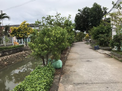 Cho thuê pjongf khép kín chính chủ t2 4953