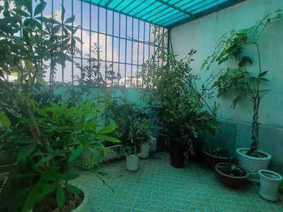 Cho thuê pjongf khép kín chính chủ t2 4986