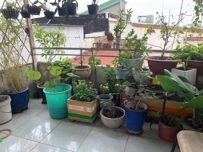 Cho thuê pjongf khép kín chính chủ t2 5319