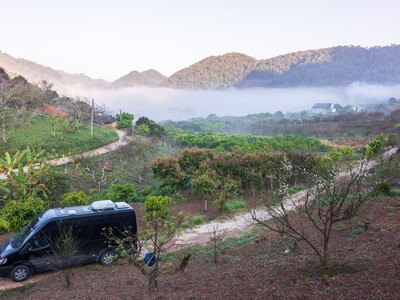 Tour Mộc Châu đầu xuân năm mới 4