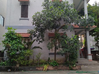 Cho thuê nhà riêng 3 tầng thôn 1 thị trấn Chi Đông, Mê Linh, Hà Nội. 5tr 2