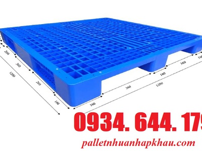 Thị Trường Pallet Nhựa Cũ Bạc Liêu Năm 2023 9