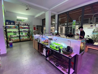 Cho thuê pjongf khép kín chính chủ t2 6255