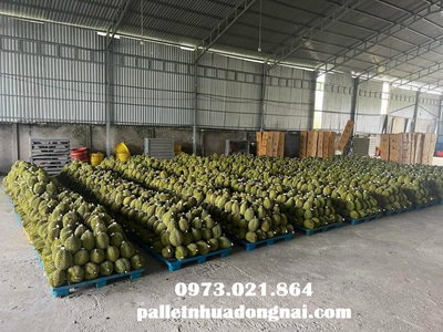 Cho thuê pjongf khép kín chính chủ t2 6484