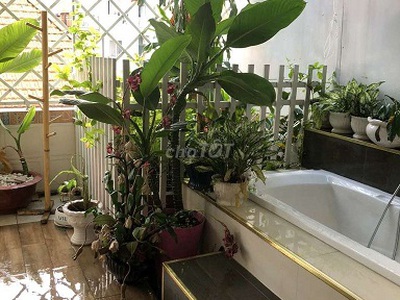 Cho thuê pjongf khép kín chính chủ t2 6367