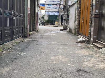 Cho thuê pjongf khép kín chính chủ t2 6847