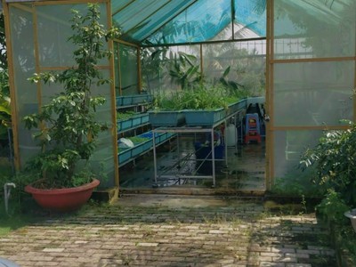 Cho thuê pjongf khép kín chính chủ t2 6724