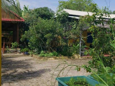 Cho thuê pjongf khép kín chính chủ t2 6726