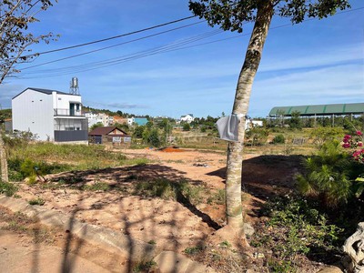 Cho thuê pjongf khép kín chính chủ t2 6974
