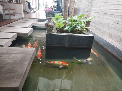 Villa mặt tiền Nguyễn Hữu Thọ 4