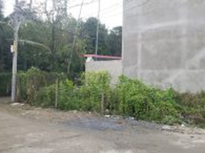 Cho thuê pjongf khép kín chính chủ t2 6906