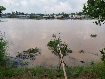 Cho thuê pjongf khép kín chính chủ t2 7011