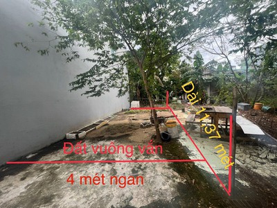 Cho thuê pjongf khép kín chính chủ t2 6948