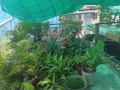 Bán nhà An Bình Q5 40m2 4 lầu 6PN dòng tiền 35tr/ tháng chỉ 6,3 tỷ 1