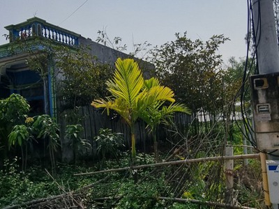 Cho thuê pjongf khép kín chính chủ t2 7955