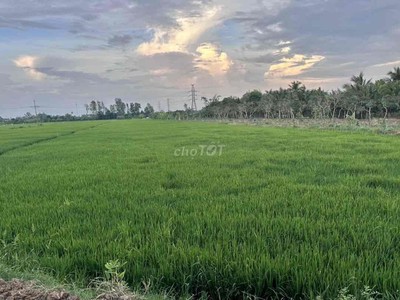 Cho thuê pjongf khép kín chính chủ t2 8328