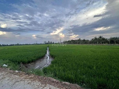 Cho thuê pjongf khép kín chính chủ t2 8333
