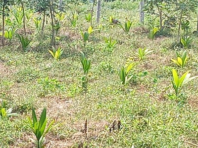 Cho thuê pjongf khép kín chính chủ t2 8351