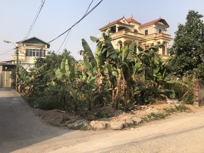 Cho thuê pjongf khép kín chính chủ t2 8741
