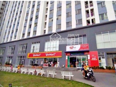 Cho thuê pjongf khép kín chính chủ t2 9104