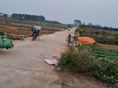Cho thuê pjongf khép kín chính chủ t2 8898
