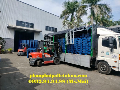 Pallet nhựa giá rẻ tại Bình Thuận, giao hàng tận nơi 8