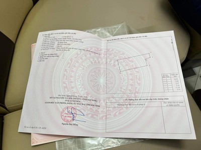 Cho thuê pjongf khép kín chính chủ t2 9310