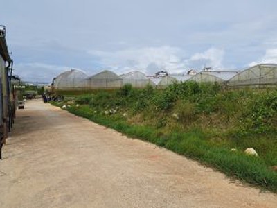 Cho thuê pjongf khép kín chính chủ t2 9574