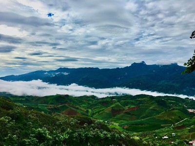 Cho thuê pjongf khép kín chính chủ t2 9567