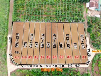 Cho thuê pjongf khép kín chính chủ t2 9239