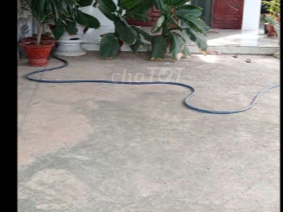 Cho thuê pjongf khép kín chính chủ t2 9464