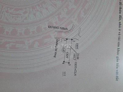 Cho thuê pjongf khép kín chính chủ t2 9428