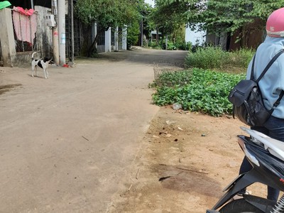 Cho thuê pjongf khép kín chính chủ t2 9473