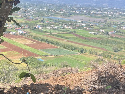 Đất view sông Đồng Nai, nhà đang làm vườn cần tiền lo cuộc sống nên bán rất gấp. Chính chủ đăng tin 0