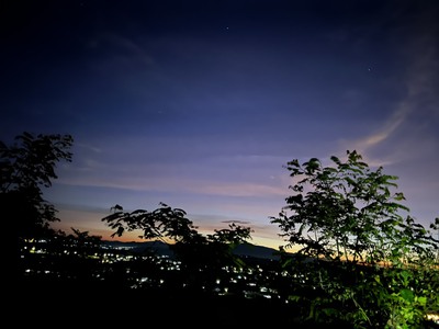 Đất view sông Đồng Nai, nhà đang làm vườn cần tiền lo cuộc sống nên bán rất gấp. Chính chủ đăng tin 4