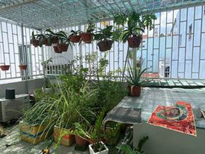 Bán nhà quận tân phú đường thoại ngoc hầu dưới 5 tỷ 3