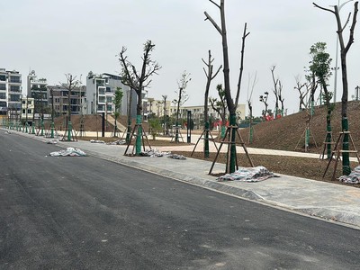 Cho thuê pjongf khép kín chính chủ t2 9998