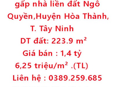 Cho thuê pjongf khép kín chính chủ t2 10424