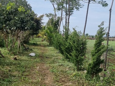 Cho thuê pjongf khép kín chính chủ t2 9909