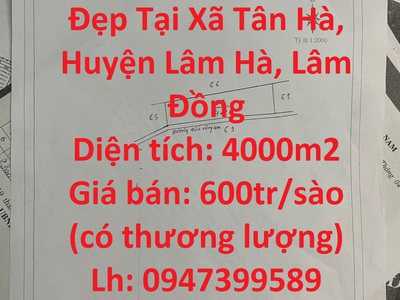 Cho thuê pjongf khép kín chính chủ t2 10236