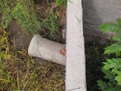Cho thuê pjongf khép kín chính chủ t2 10438