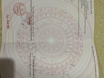Cho thuê pjongf khép kín chính chủ t2 10433