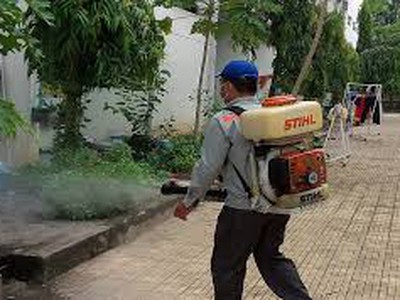 Công ty diệt muỗi tại Vĩnh Phúc - Phun muỗi tại nhà giá rẻ 0