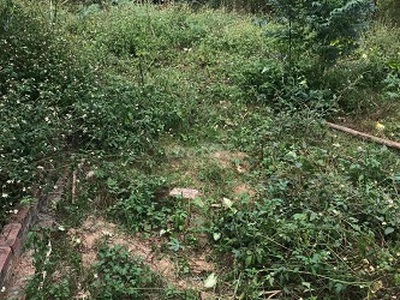 Cần người phụ bán đồ uống tại cửa hàng 1387