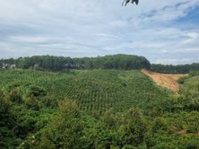 Cần người phụ bán đồ uống tại cửa hàng 1614