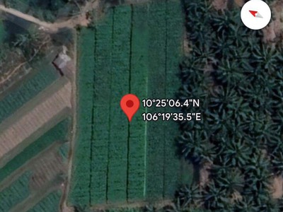 Cần người phụ bán đồ uống tại cửa hàng 667
