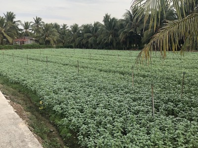 Cần người phụ bán đồ uống tại cửa hàng 670