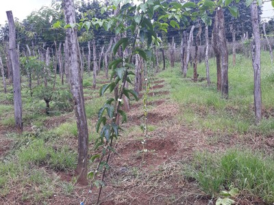 Cần người phụ bán đồ uống tại cửa hàng 675