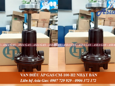 Van gas cấp 2 CM-100-H2 chất lượng tốt 1